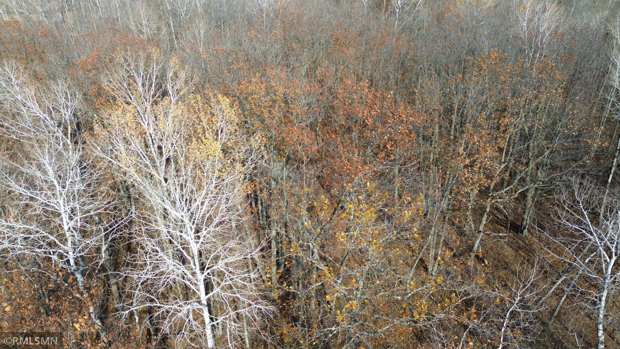 Tbd 170th Place Property Photo 48