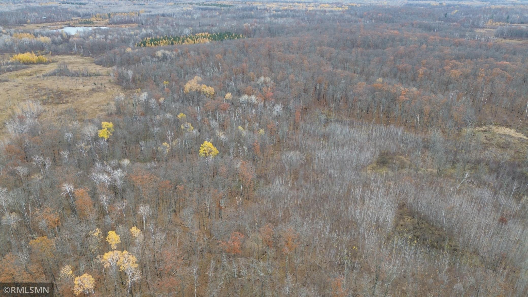 Tbd 170th Place Property Photo 53