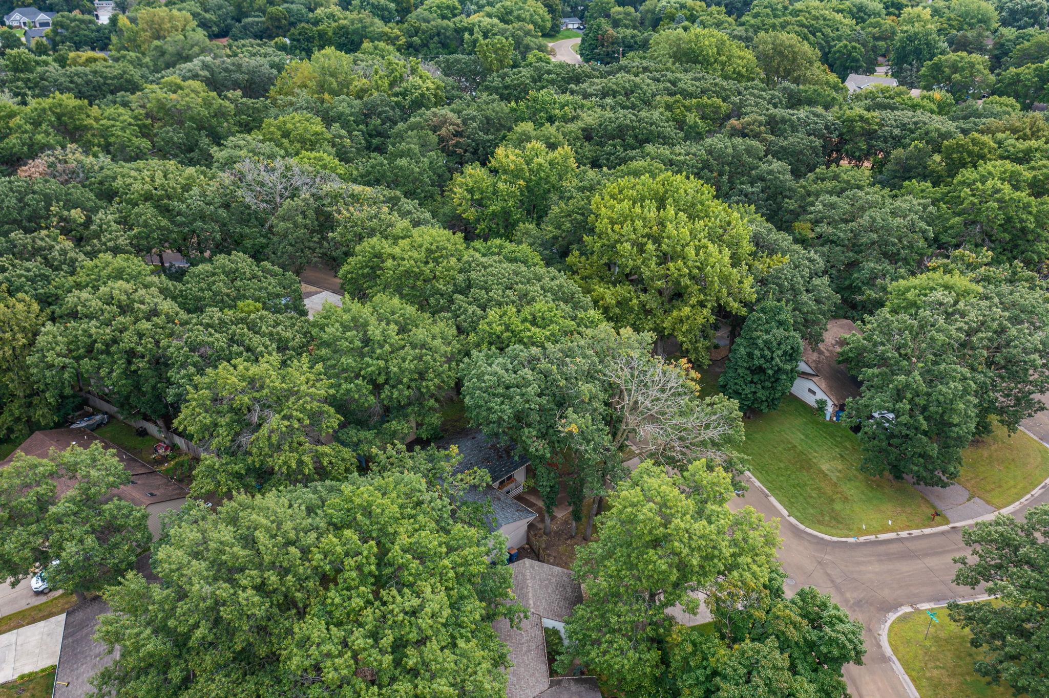13348 Linwood Forest Circle Property Photo 27