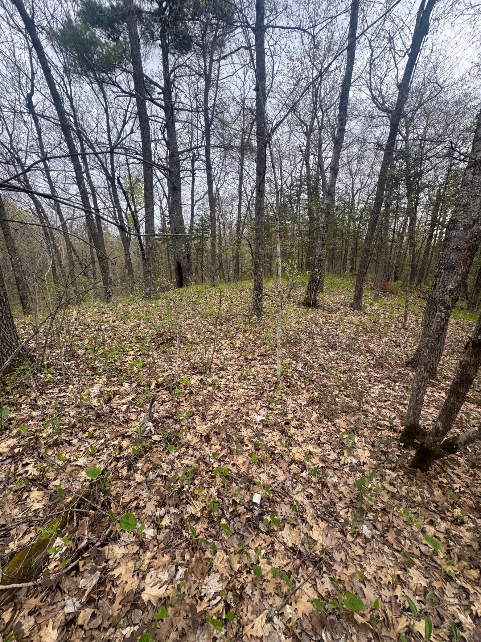 Tbd Mn-18 Property Photo 3