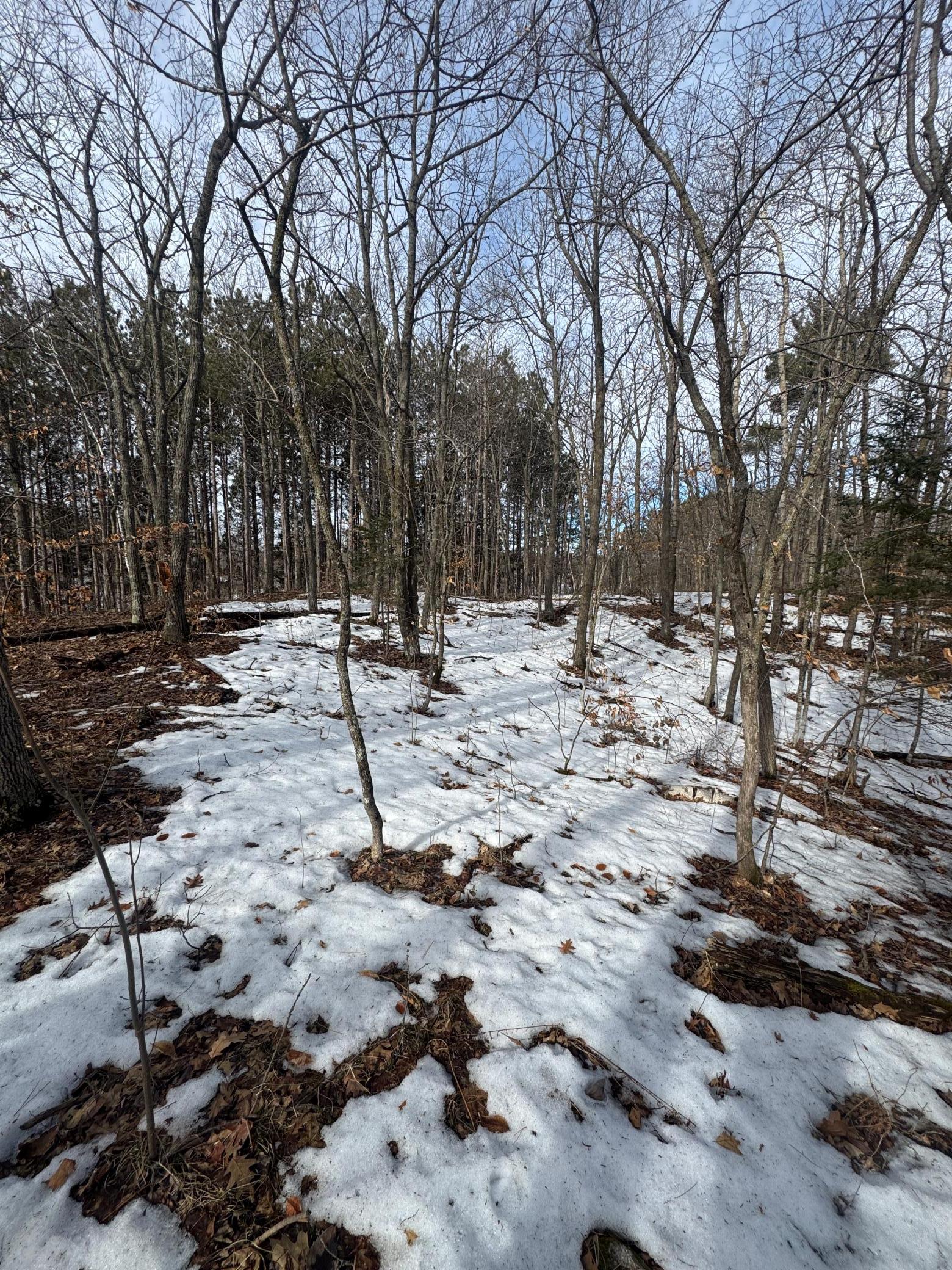 Tbd Mn-18 Property Photo 9