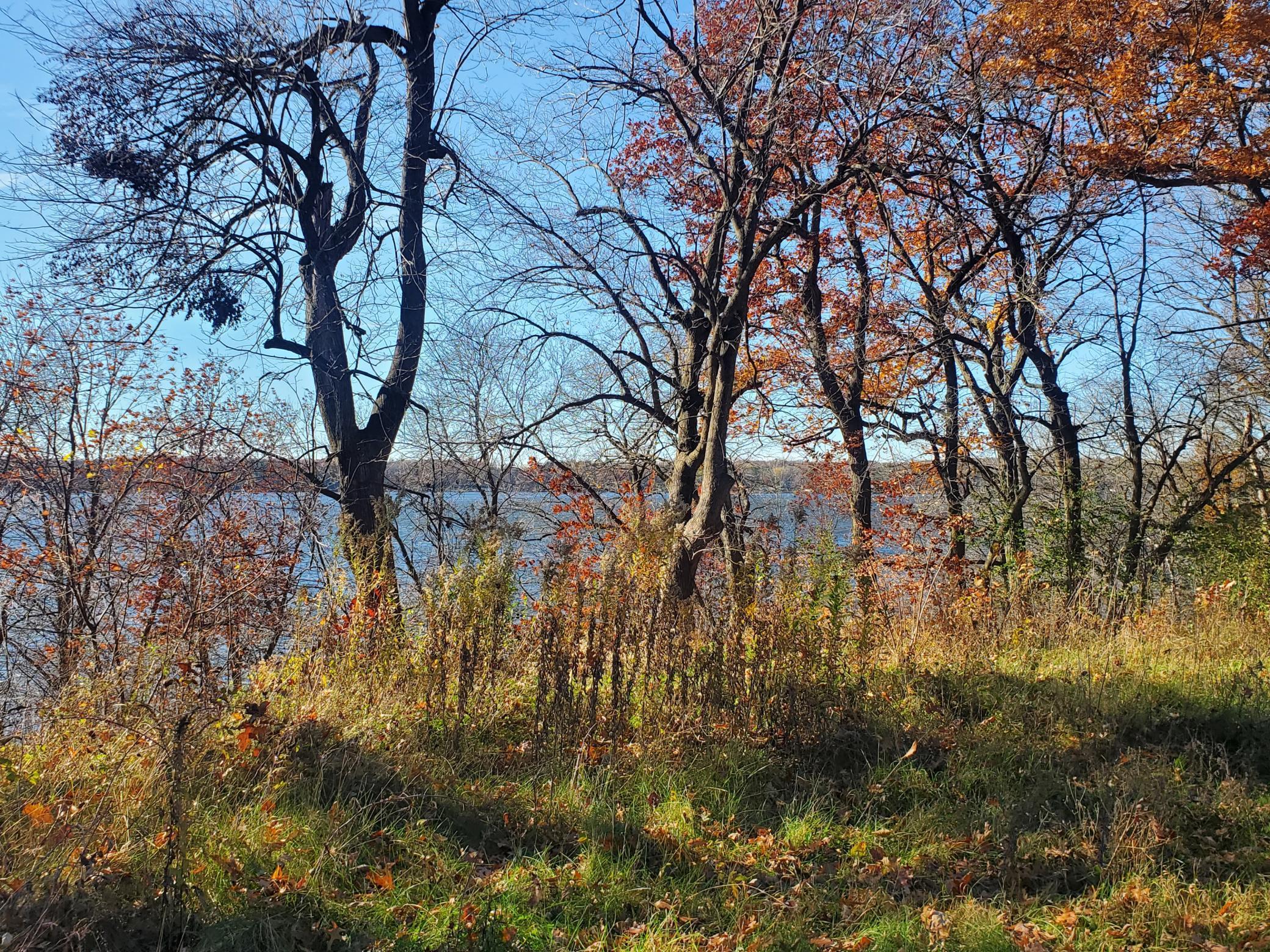 Lot 3 E Cedar Lake Ct Property Photo 1