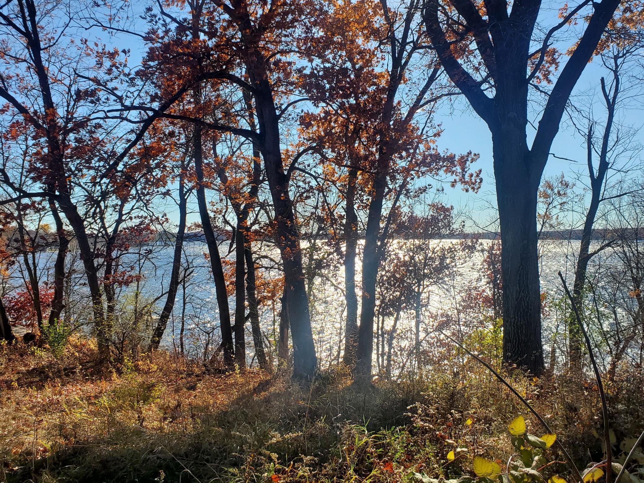 Lot 3 E Cedar Lake Ct Property Photo 3