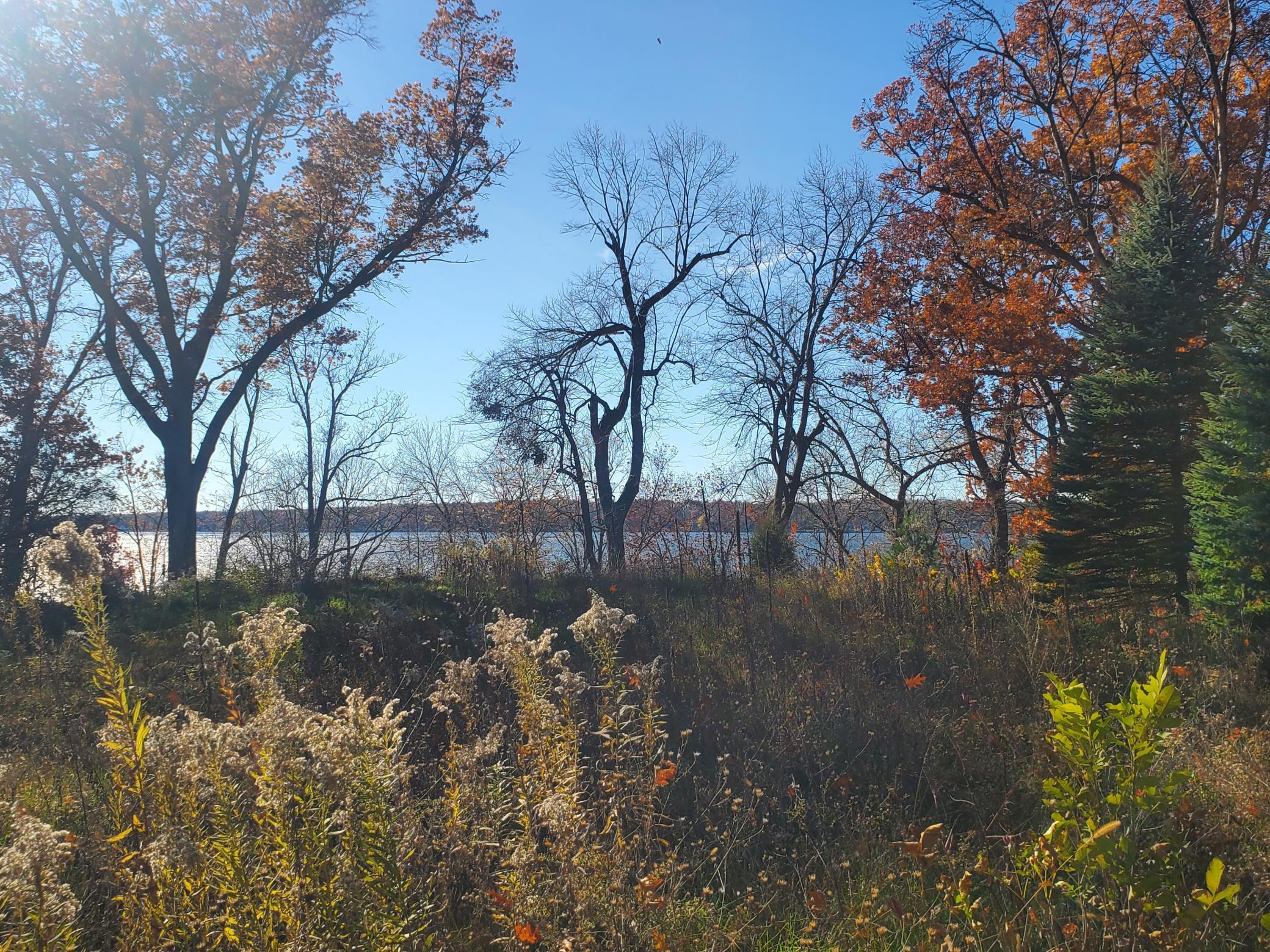 Lot 3 E Cedar Lake Ct Property Photo 5
