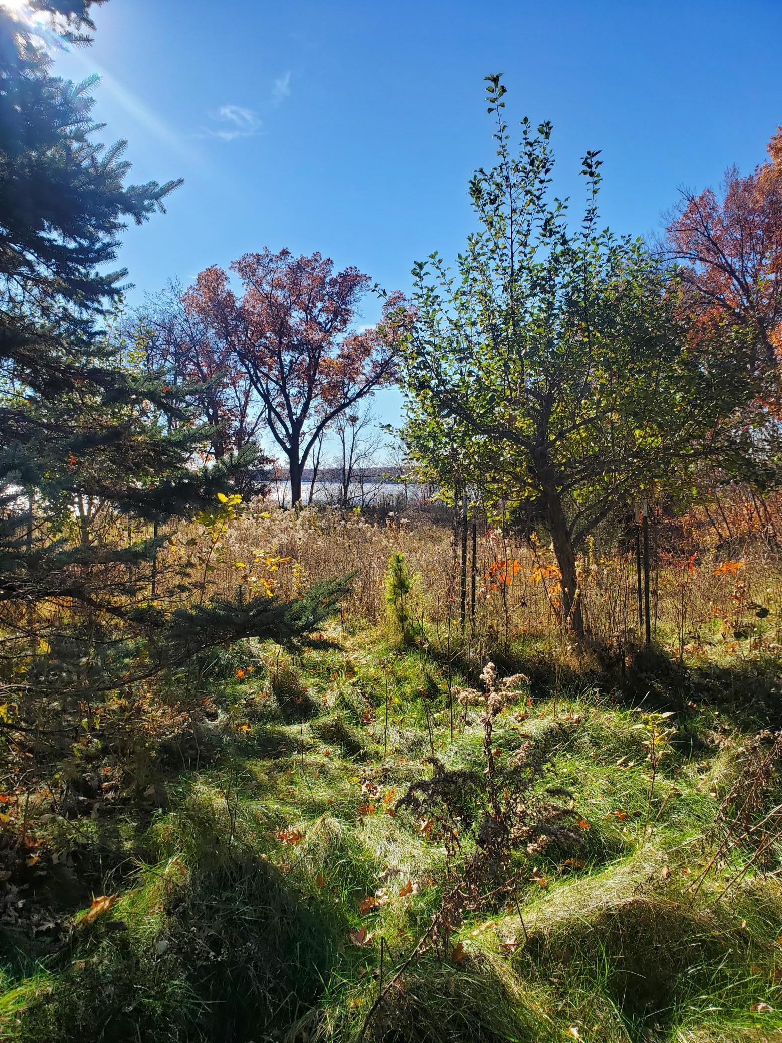 Lot 3 E Cedar Lake Ct Property Photo 6