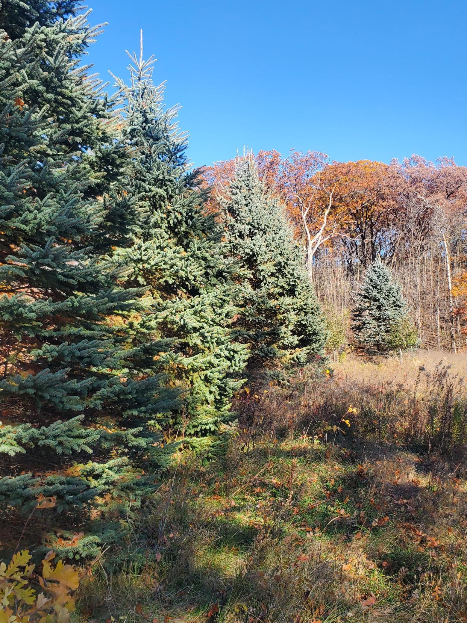 Lot 3 E Cedar Lake Ct Property Photo 7