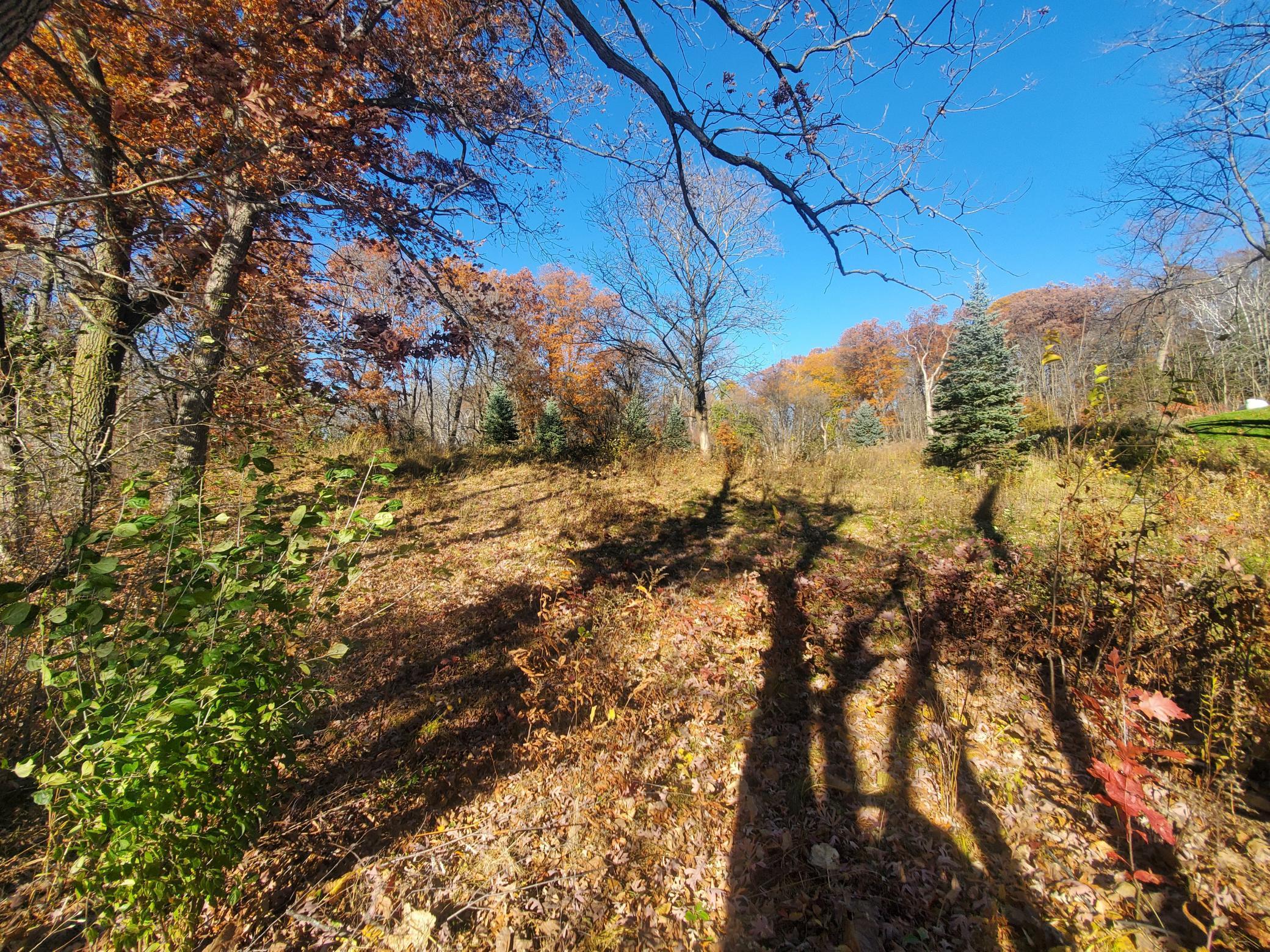 Lot 3 E Cedar Lake Ct Property Photo 8