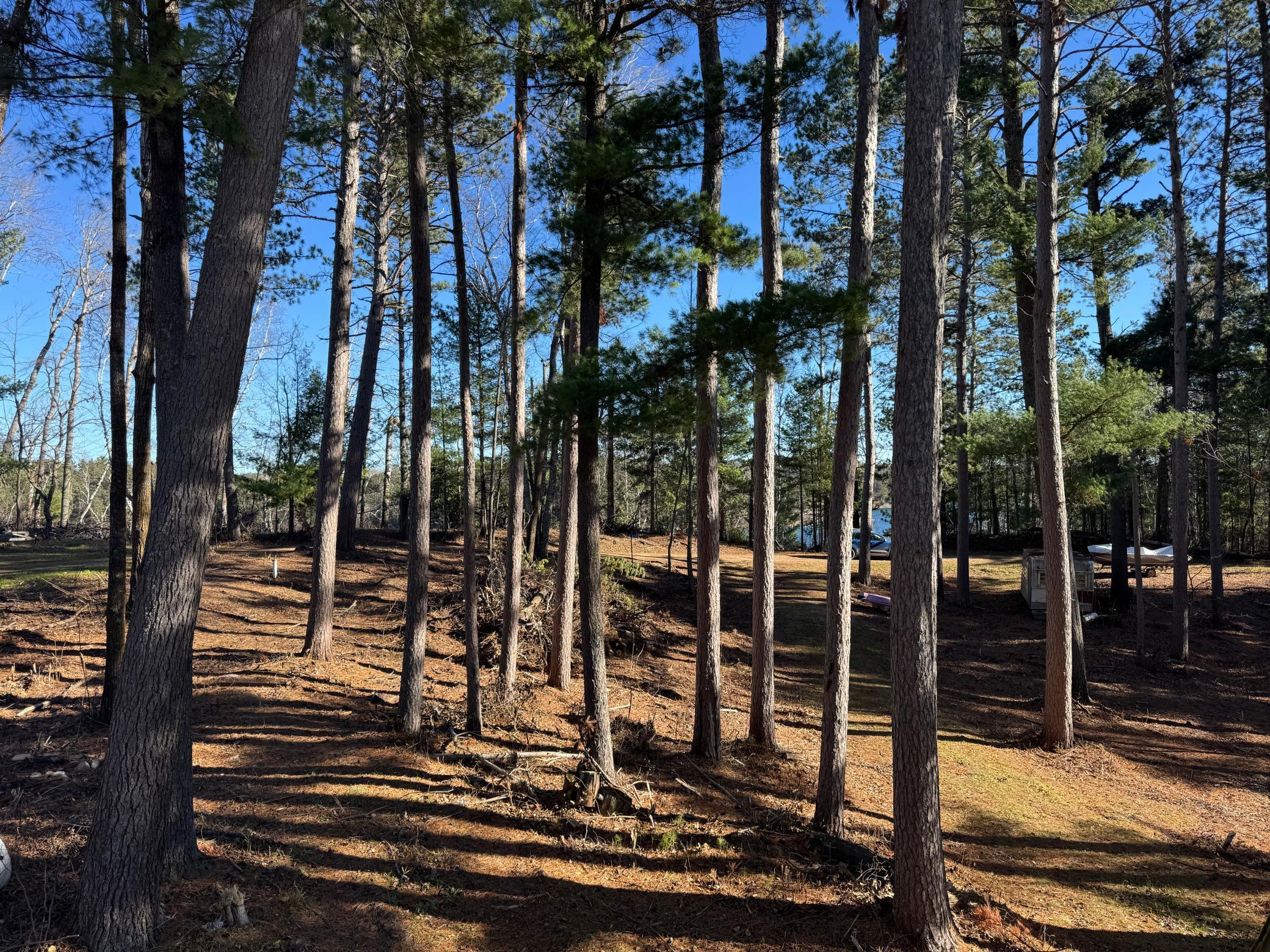 12745 Ecton Trail Property Photo 26