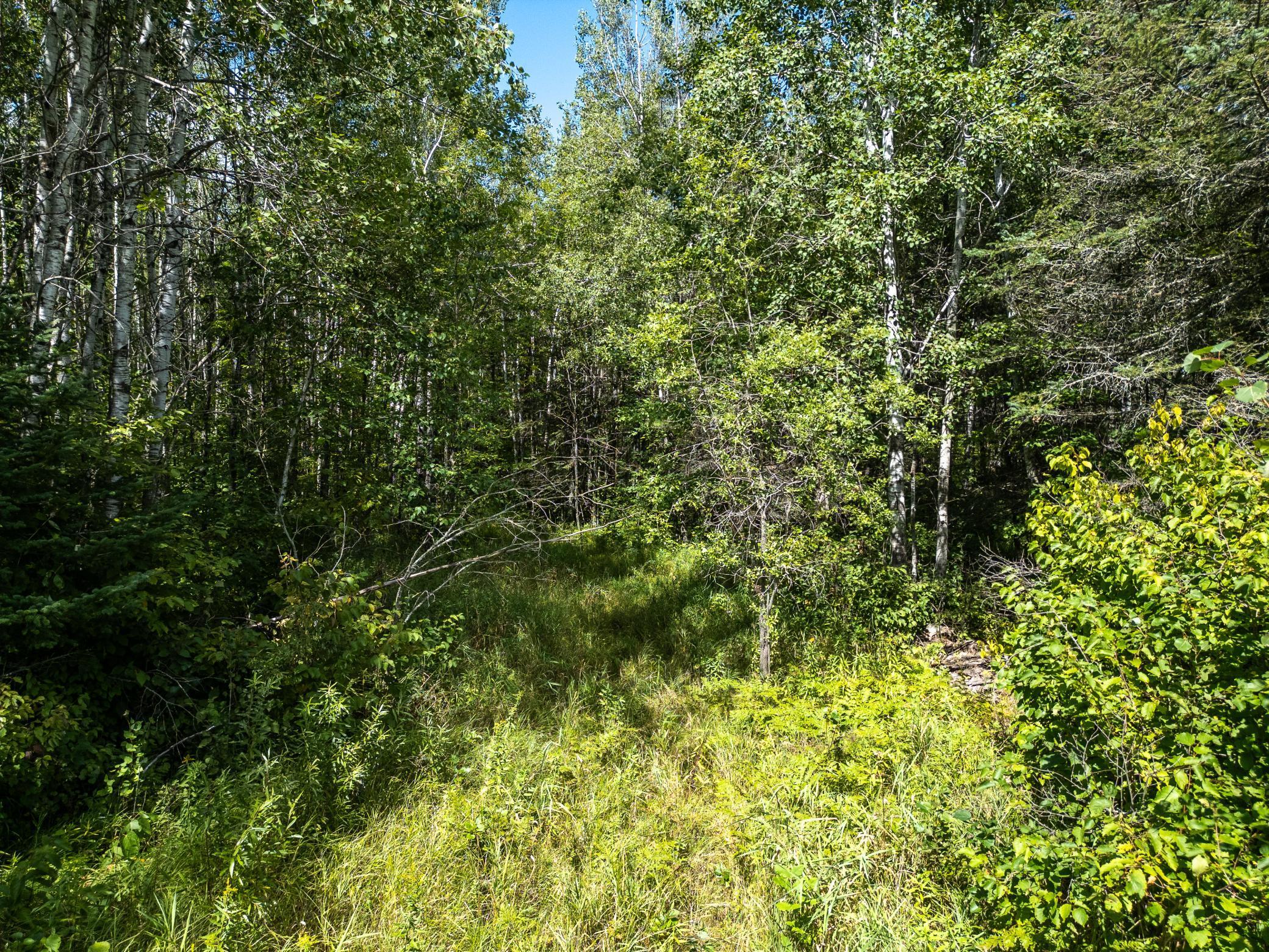 48029 110th Place Property Photo 17