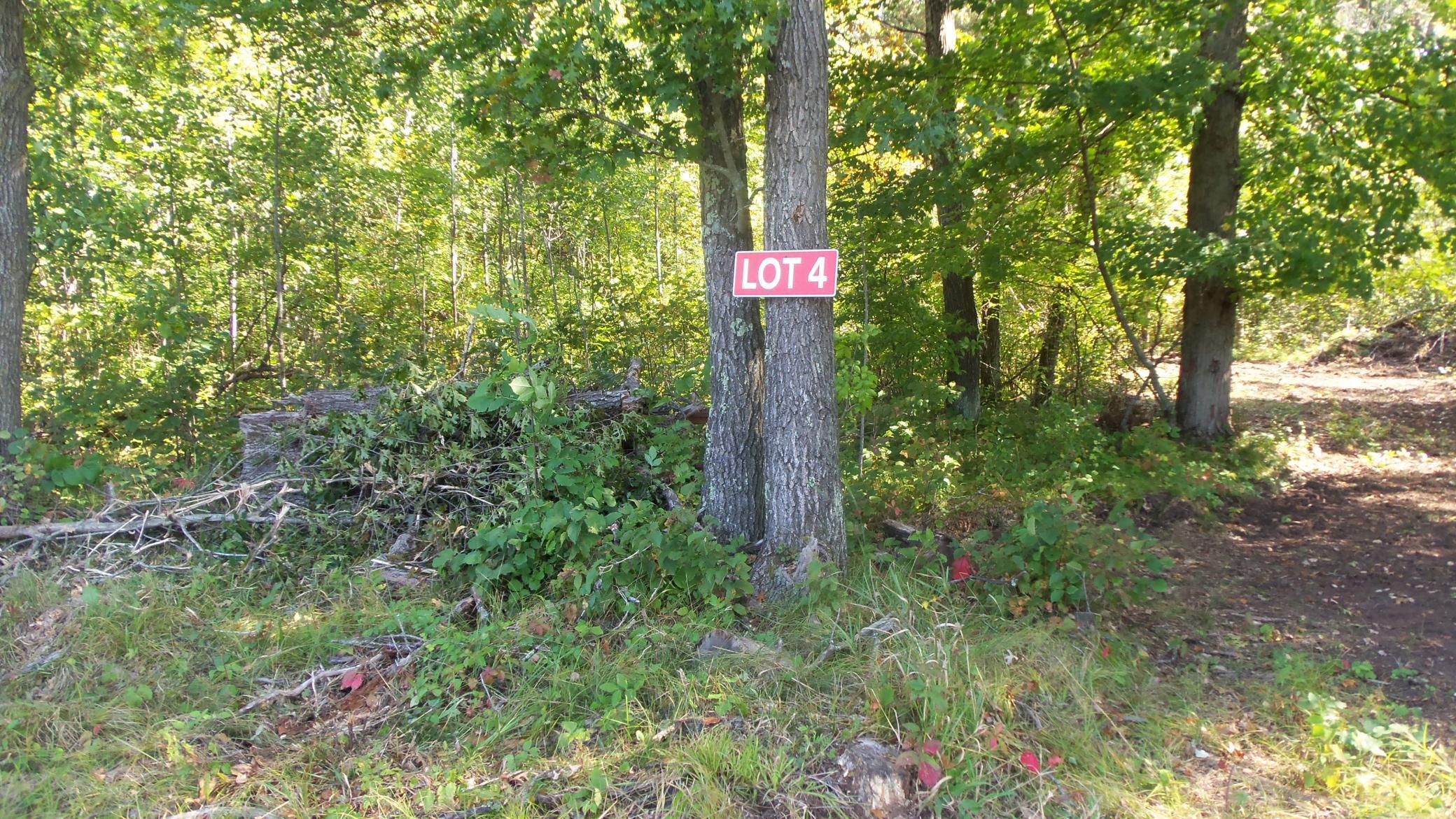 Lot 4 East River Rd Property Photo 1