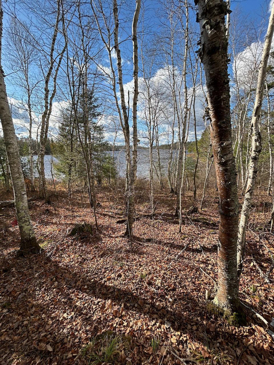 Tbd Wilderness Way Property Photo 5