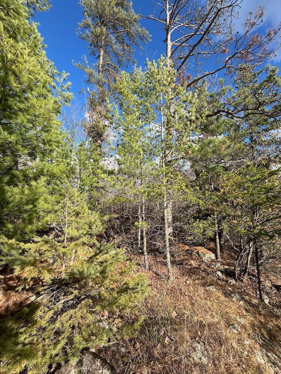Tbd Wilderness Way Property Photo 7