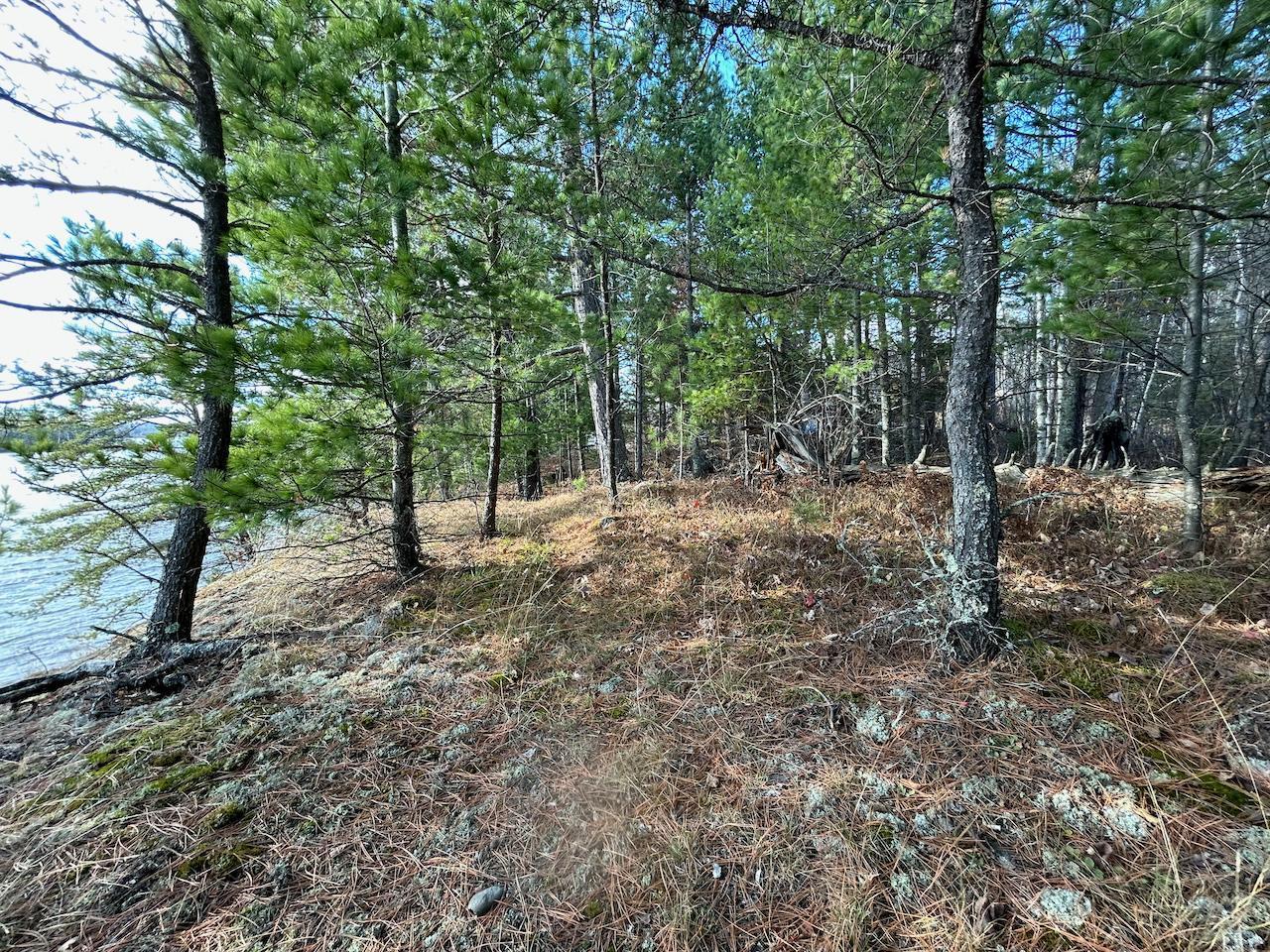 Tbd Wilderness Way Property Photo 10