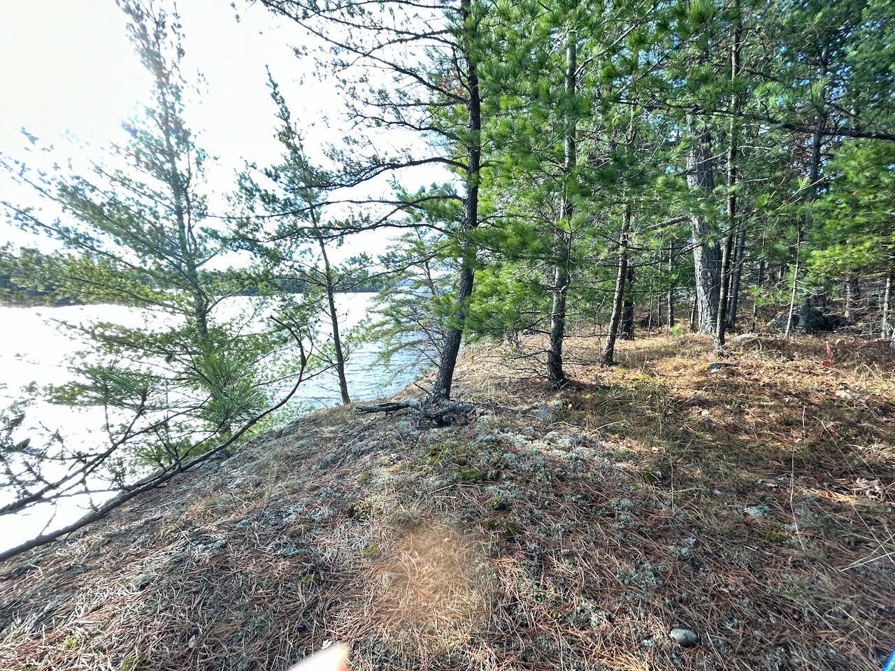 Tbd Wilderness Way Property Photo 11