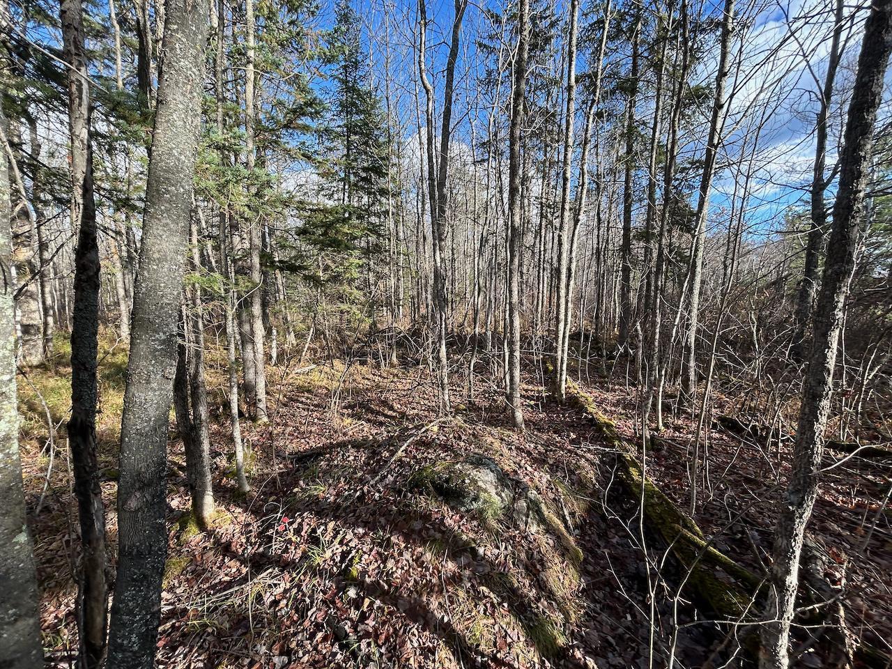 Tbd Wilderness Way Property Photo 13