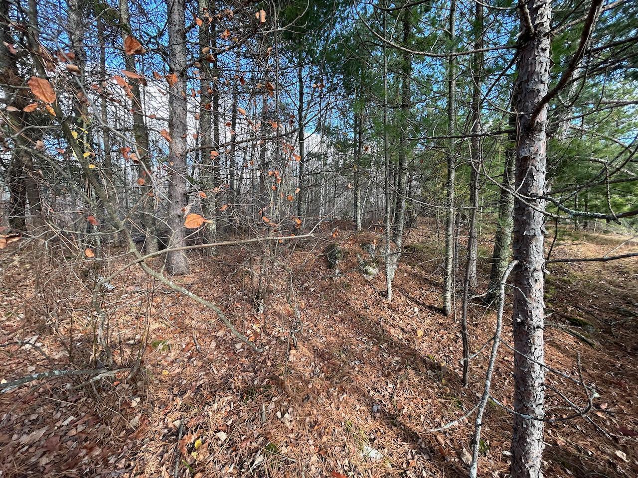 Tbd Wilderness Way Property Photo 17