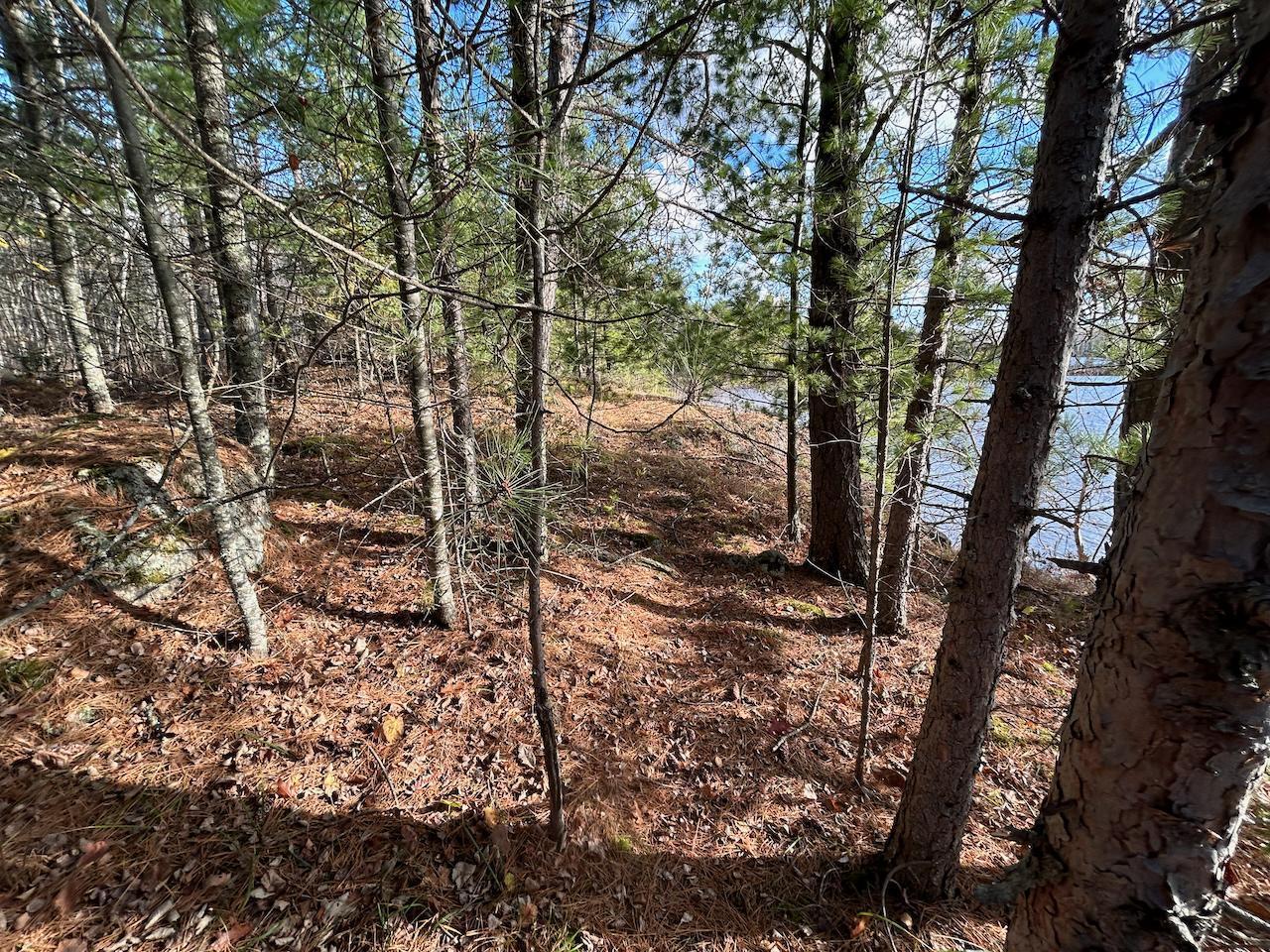 Tbd Wilderness Way Property Photo 18