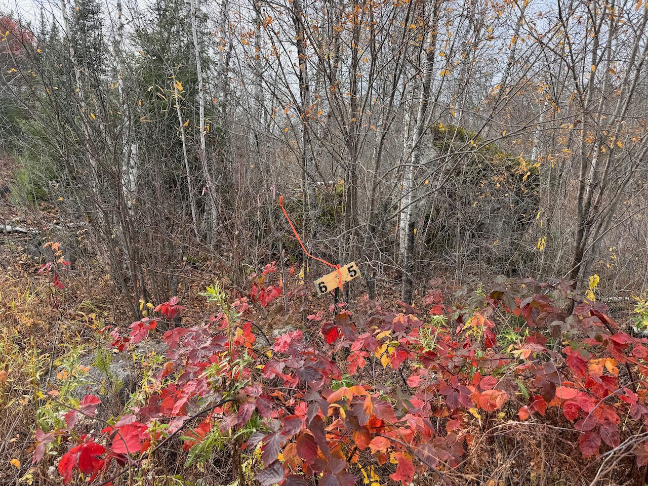 Tbd Wilderness Way Property Photo 19