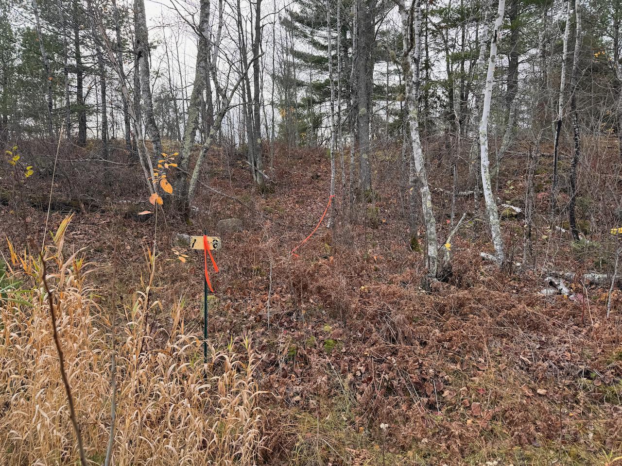 Tbd Wilderness Way Property Photo 20