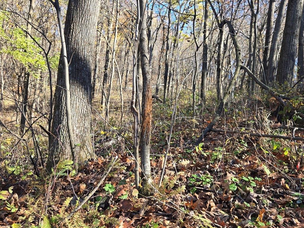 0 County Road Kk Property Photo 19