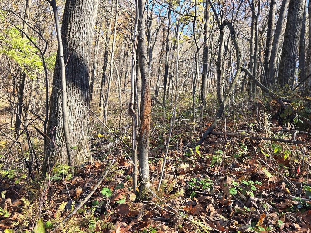 0 County Road Kk Property Photo 20