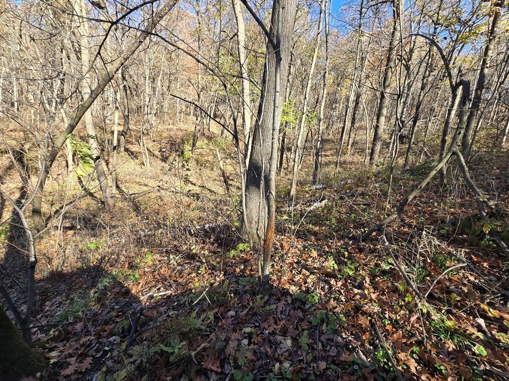 0 County Road Kk Property Photo 21