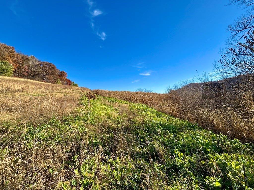 0 County Road Kk Property Photo 31