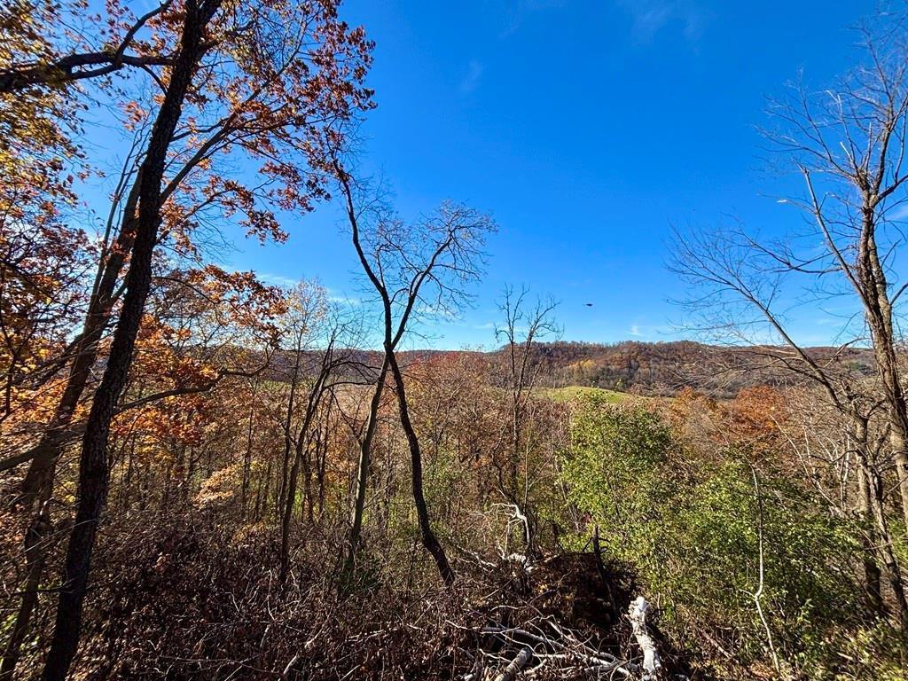 0 County Road Kk Property Photo 45
