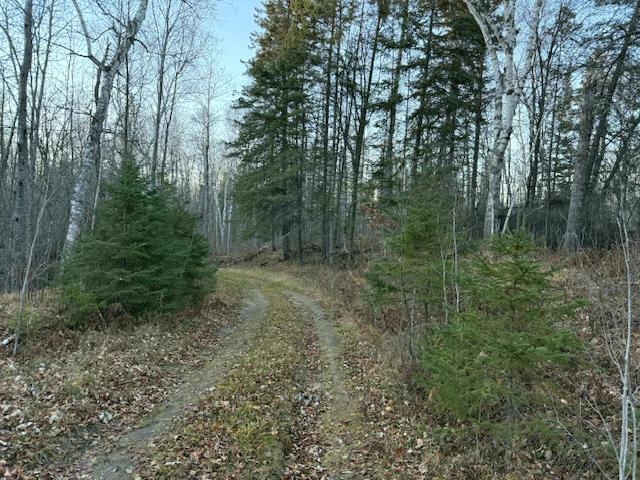 24965 Hammock Trail Property Photo 3