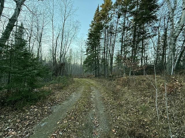 24965 Hammock Trail Property Photo 4