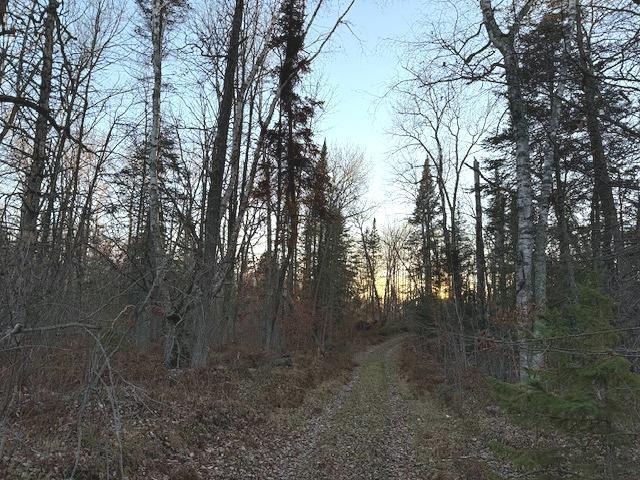 24965 Hammock Trail Property Photo 5