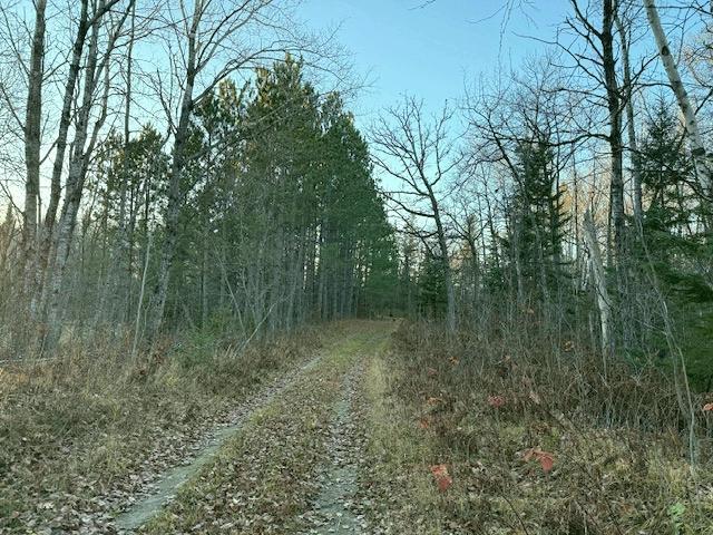 24965 Hammock Trail Property Photo 6