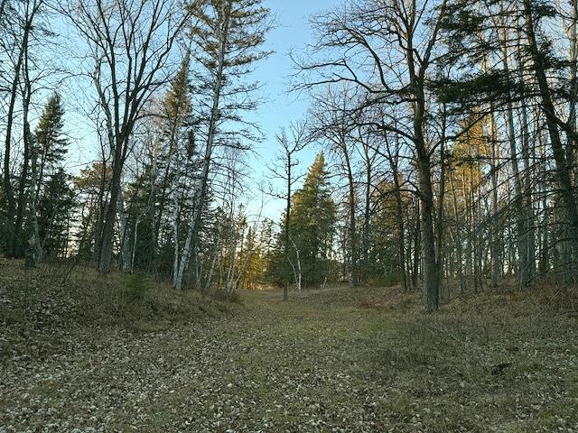 24965 Hammock Trail Property Photo 8