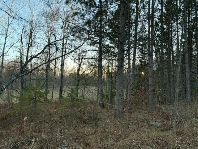 24965 Hammock Trail Property Photo 9