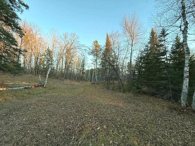 24965 Hammock Trail Property Photo 37