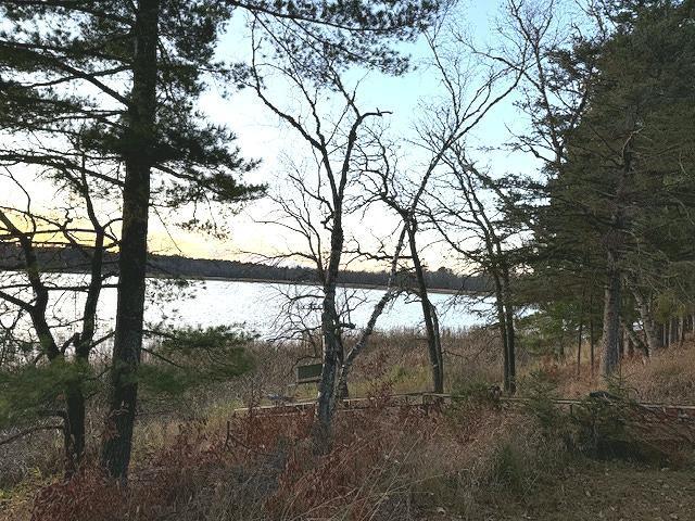 24965 Hammock Trail Property Photo 41