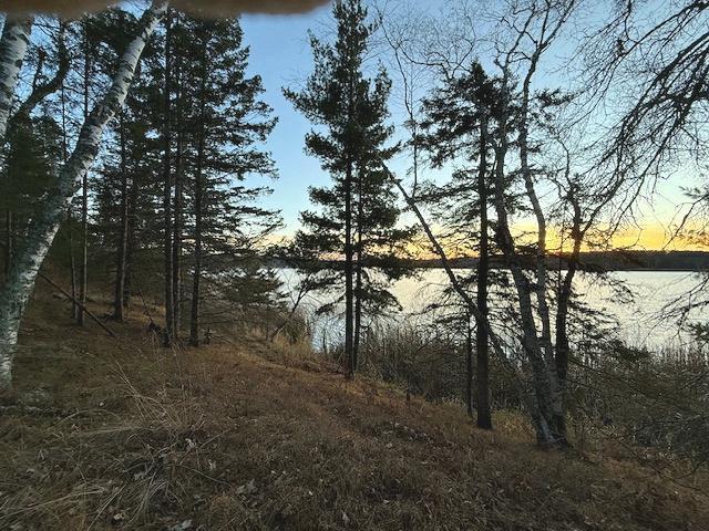 24965 Hammock Trail Property Photo 42