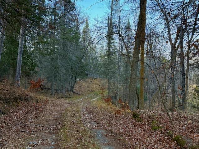 24965 Hammock Trail Property Photo 46