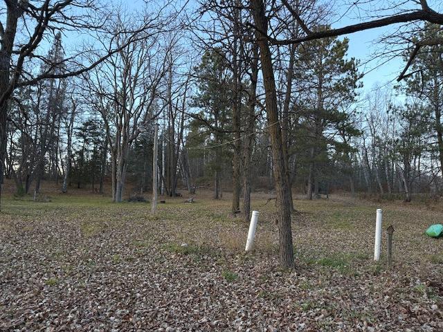 24965 Hammock Trail Property Photo 47