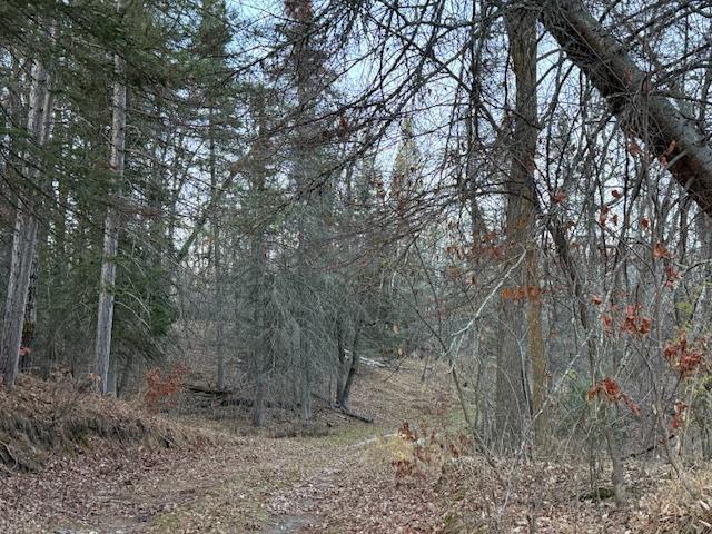 24965 Hammock Trail Property Photo 52