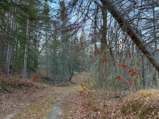 24965 Hammock Trail Property Photo 53