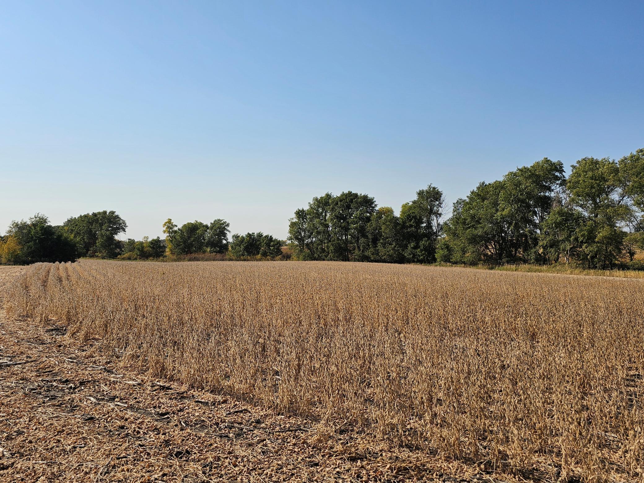 - Mamre Twp Property Photo 1