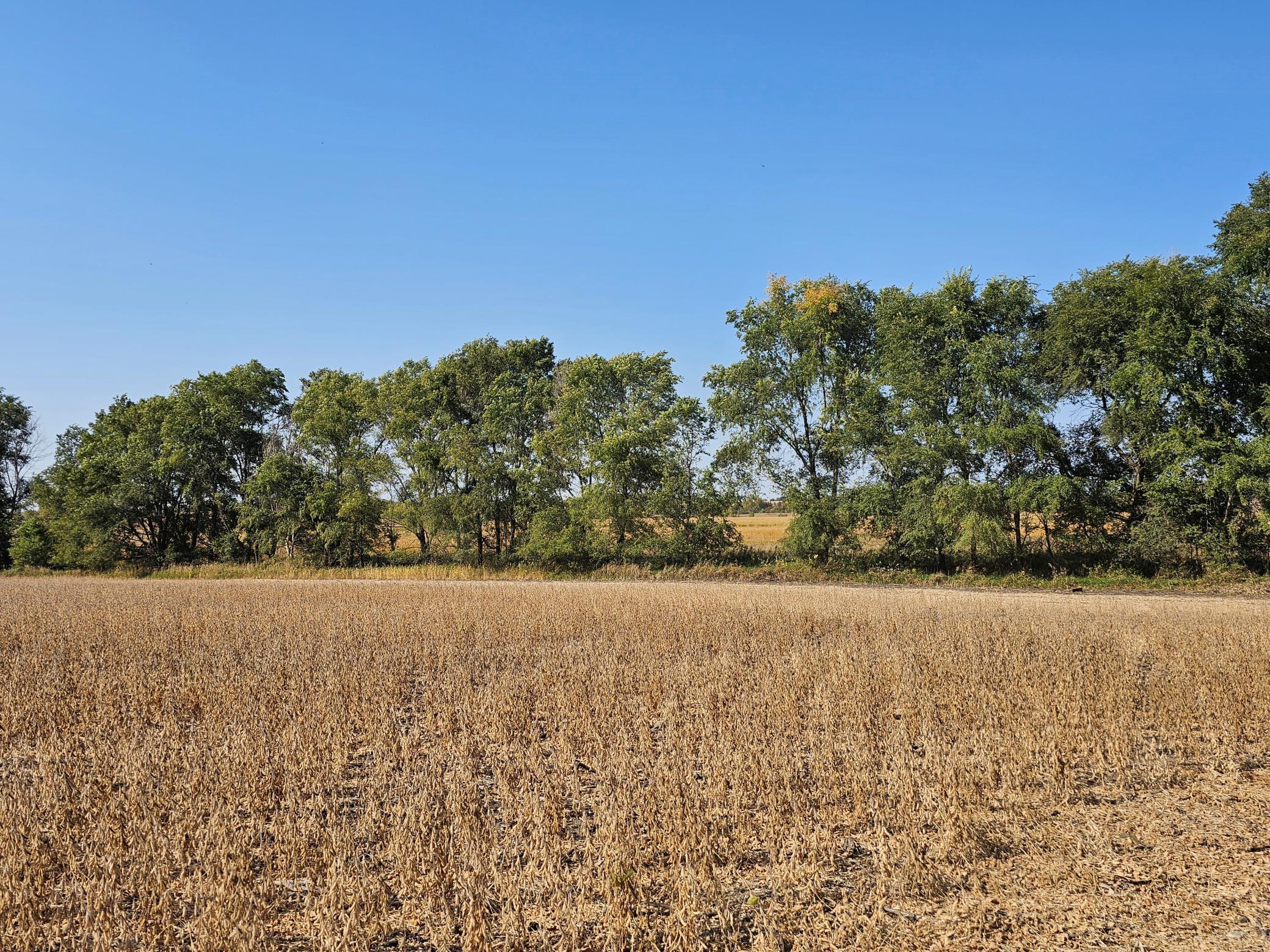 - Mamre Twp Property Photo 3
