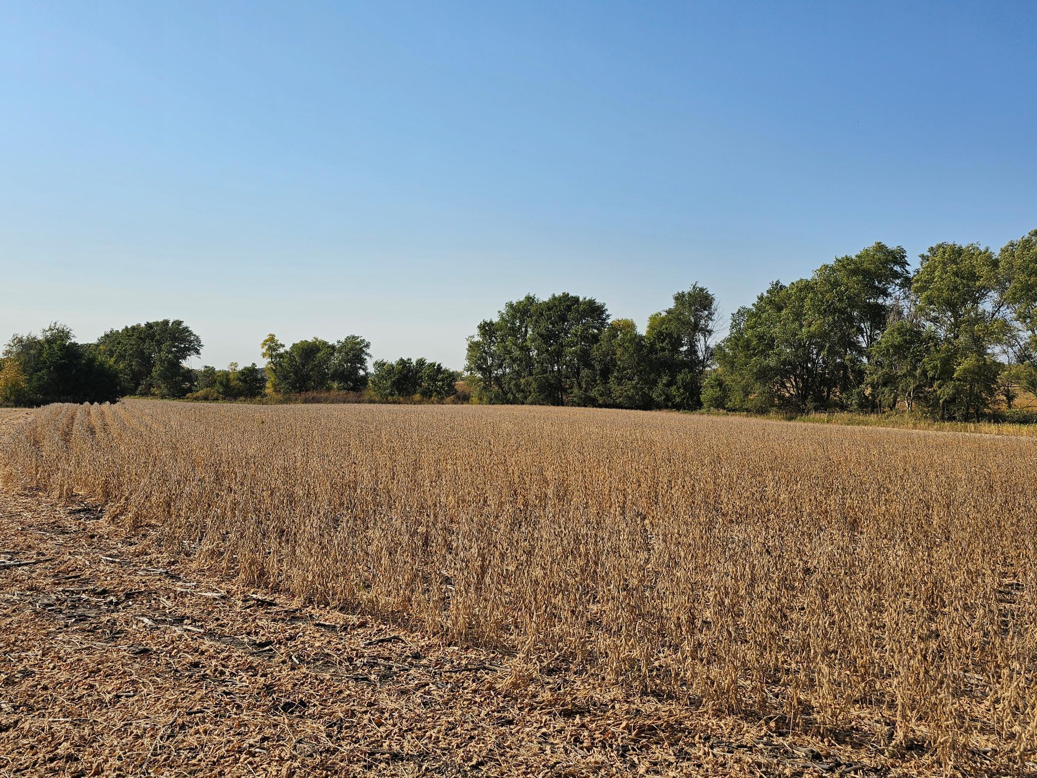 - Mamre Twp Property Photo 4