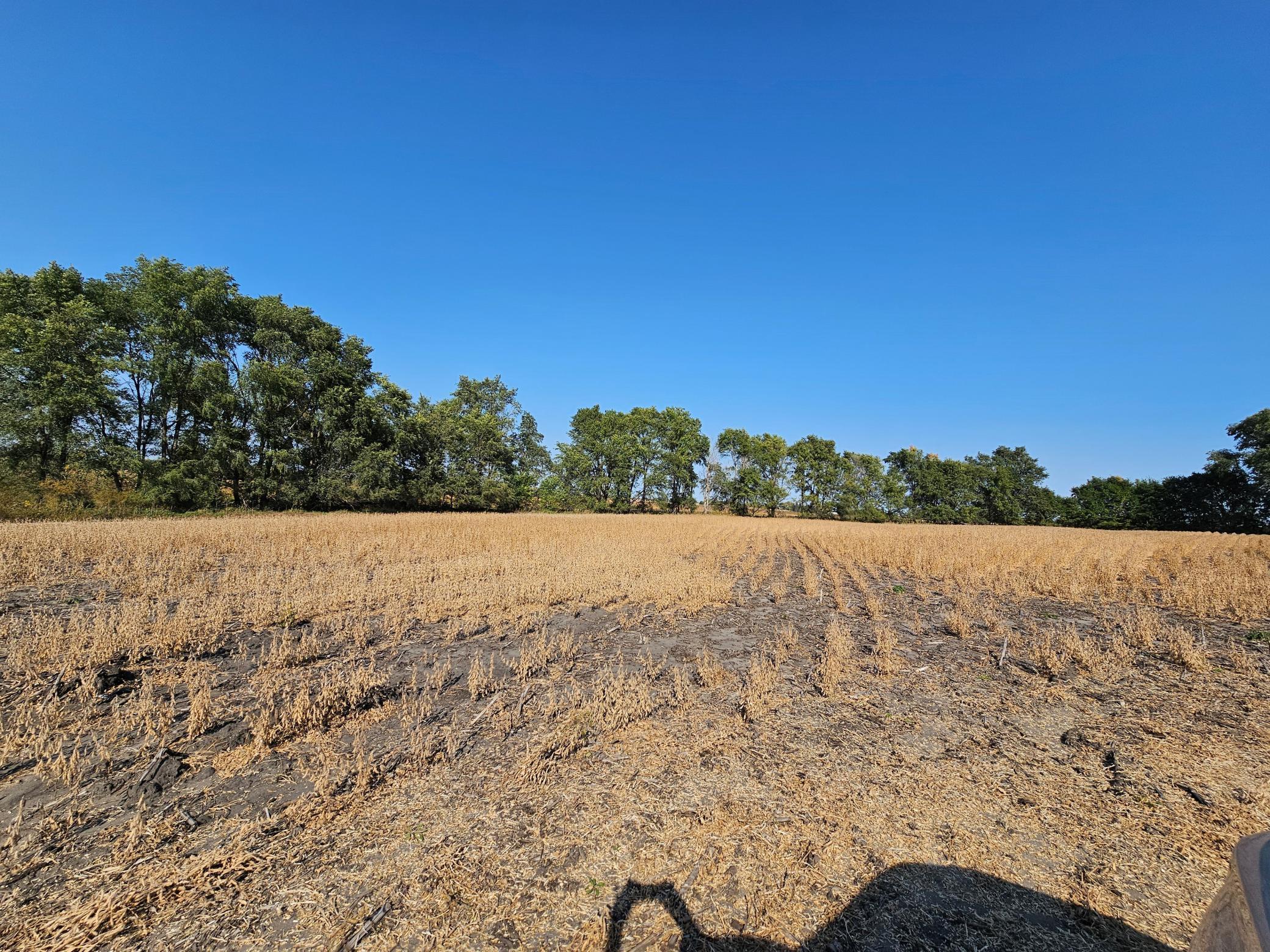 - Mamre Twp Property Photo 5