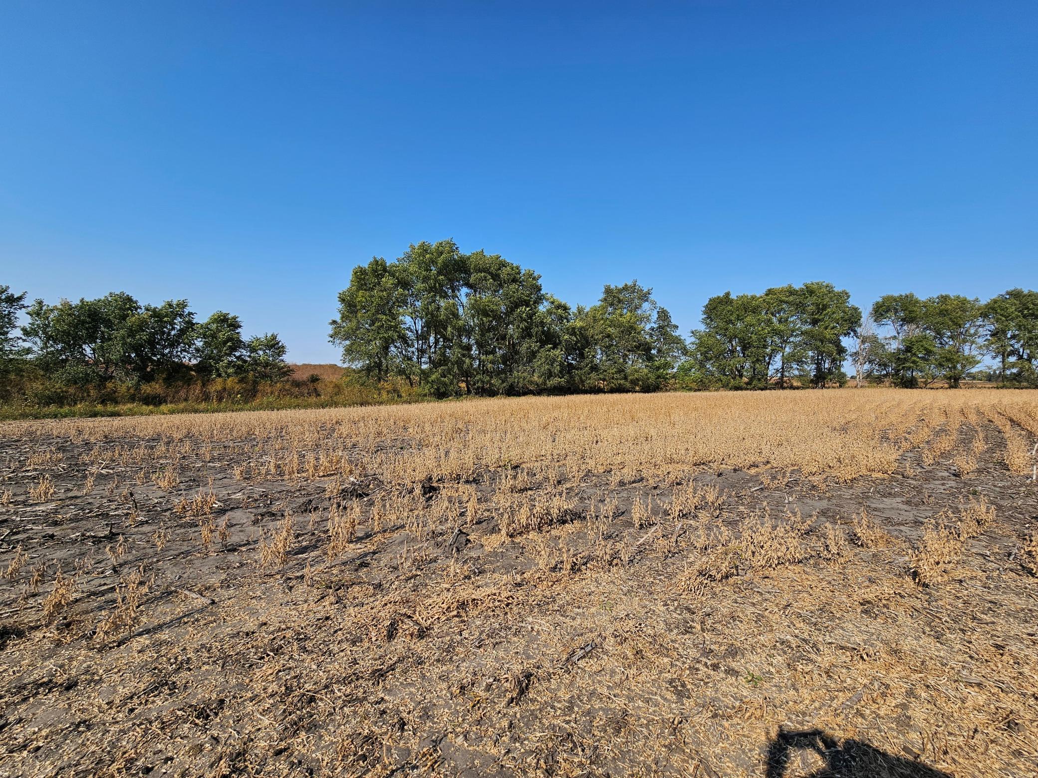 - Mamre Twp Property Photo 6