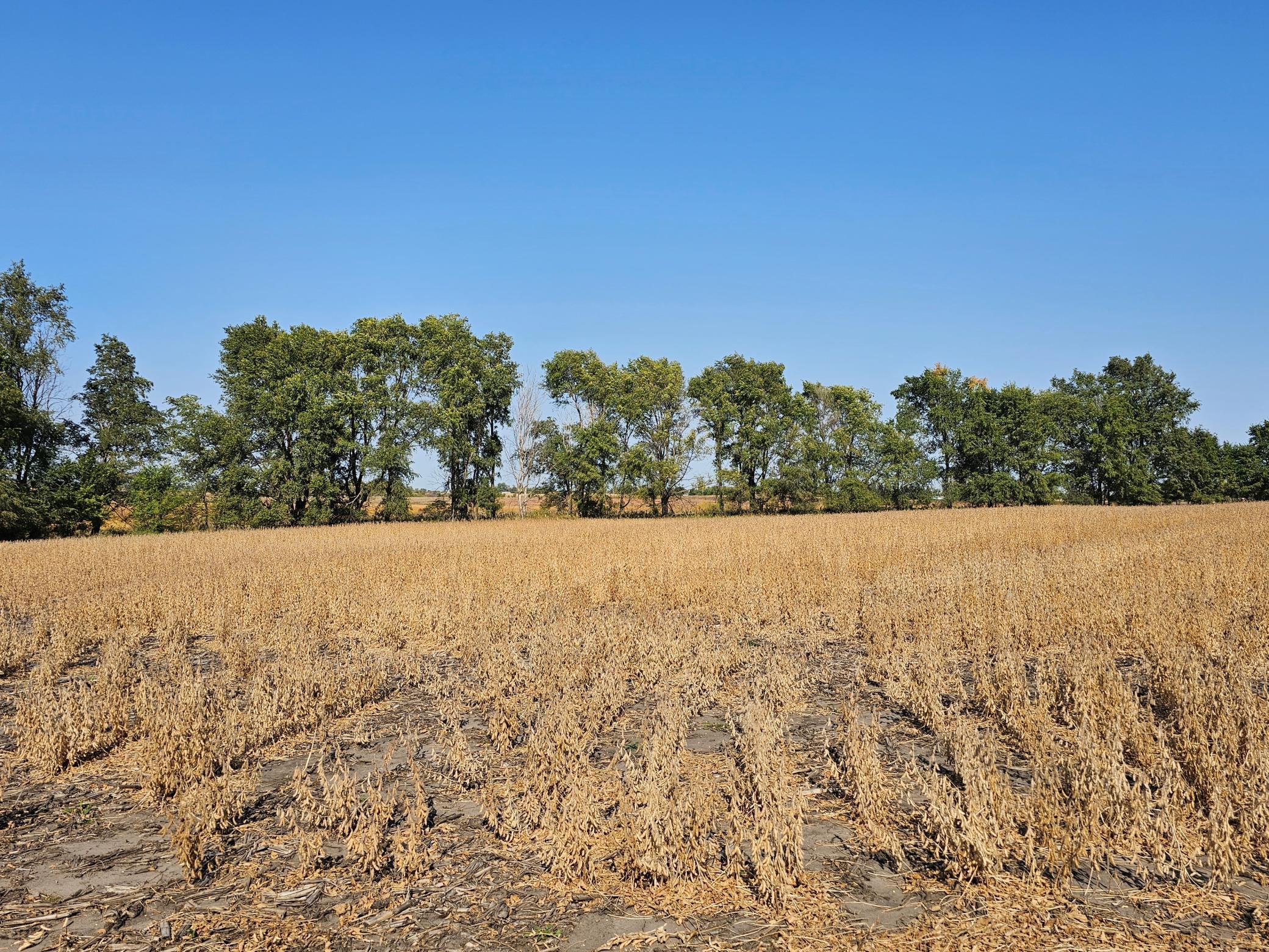 - Mamre Twp Property Photo 8