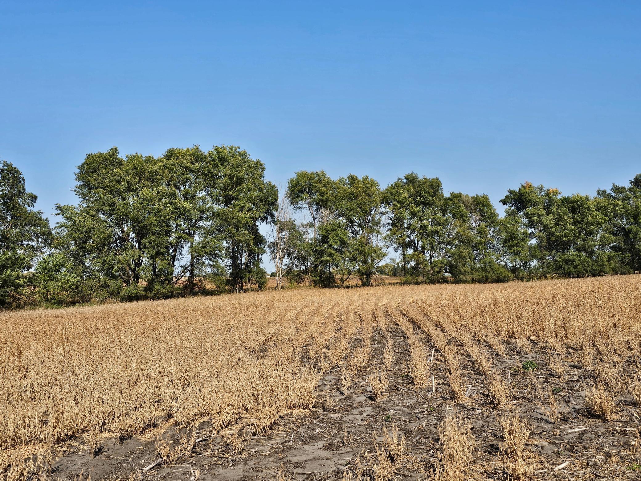 - Mamre Twp Property Photo 10