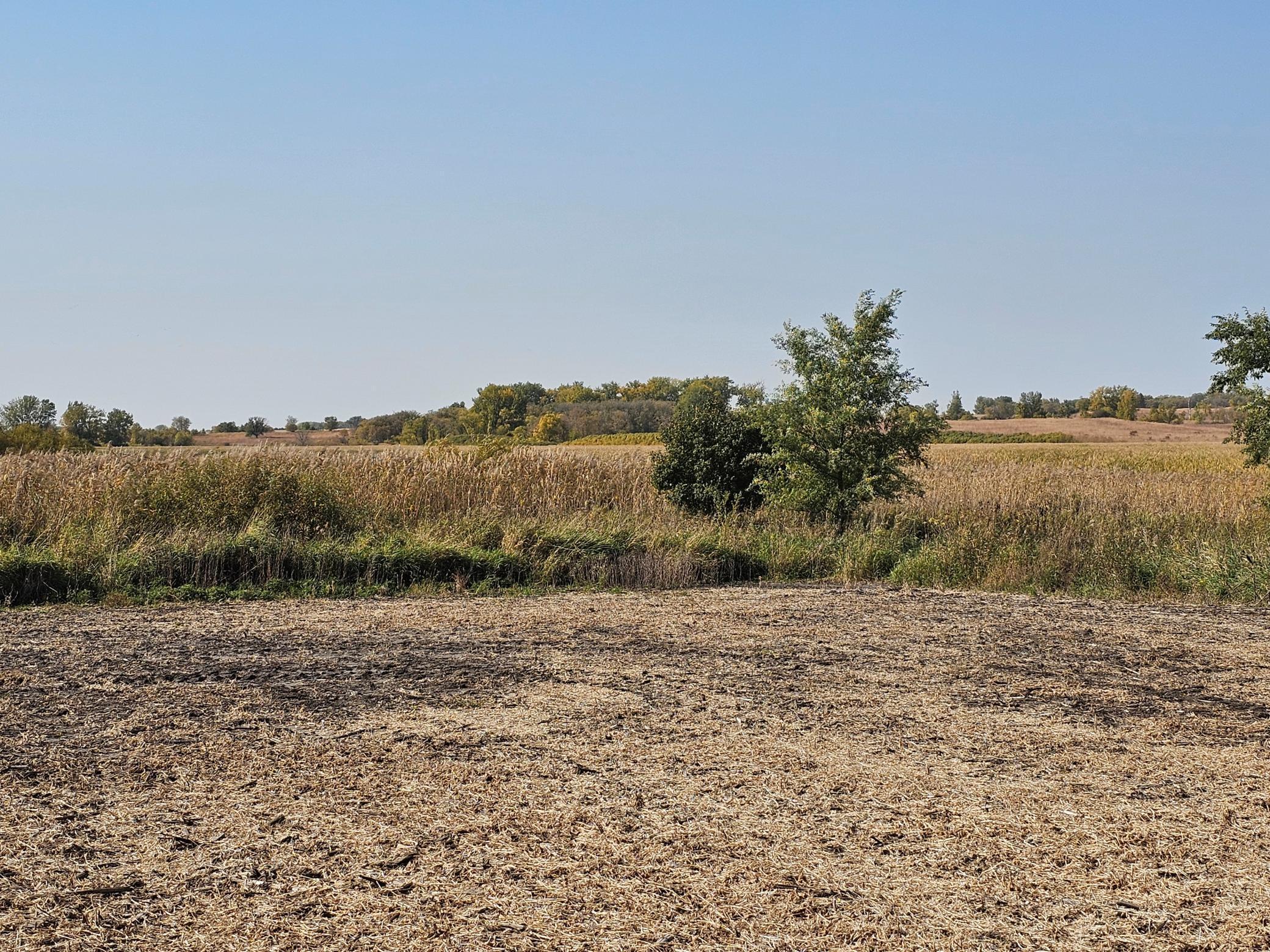 - Mamre Twp Property Photo 11
