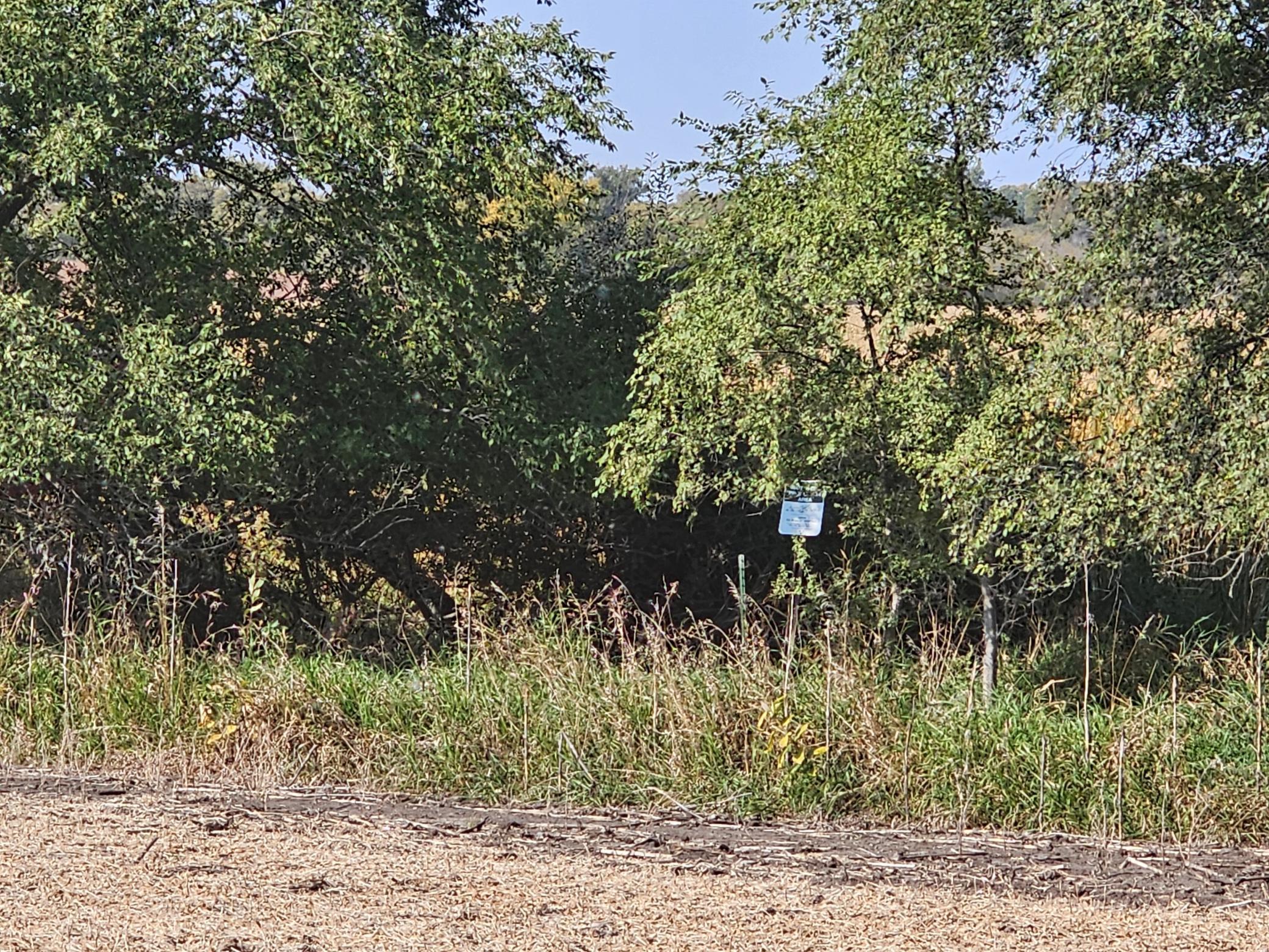 - Mamre Twp Property Photo 12